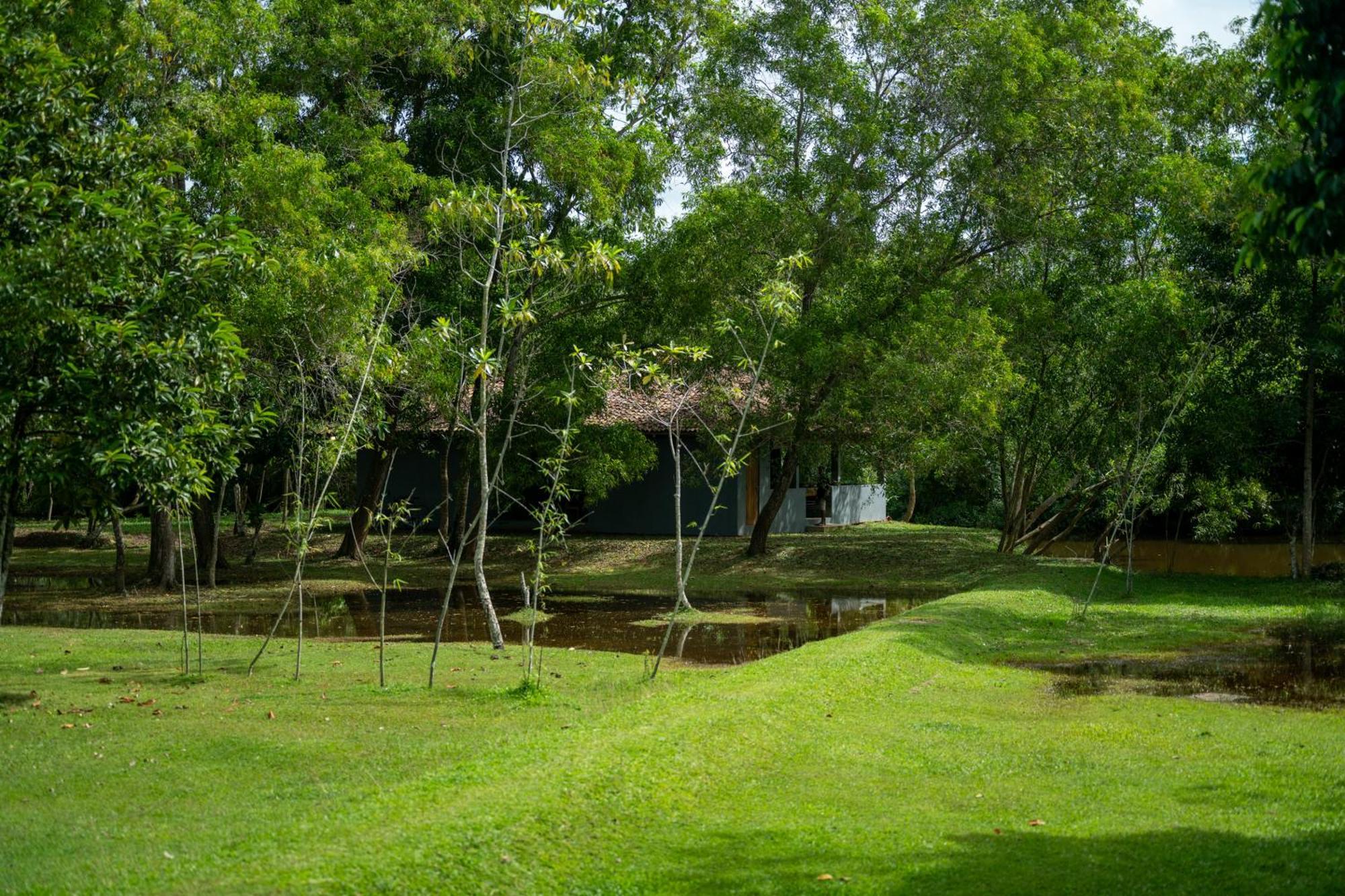Wirdana Resort & Spa Bussa 외부 사진
